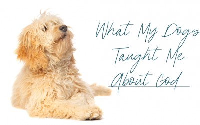 What My Dogs Taught Me About God